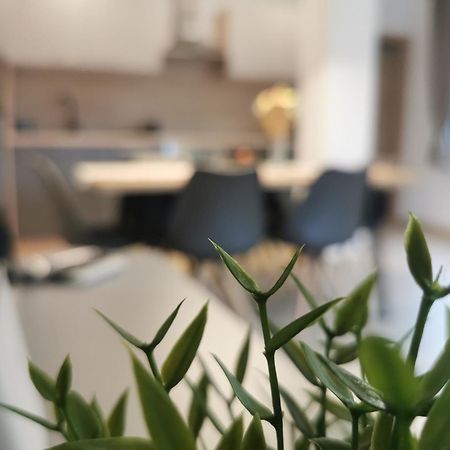 Apartma Bella Nadiza Kobarid Buitenkant foto
