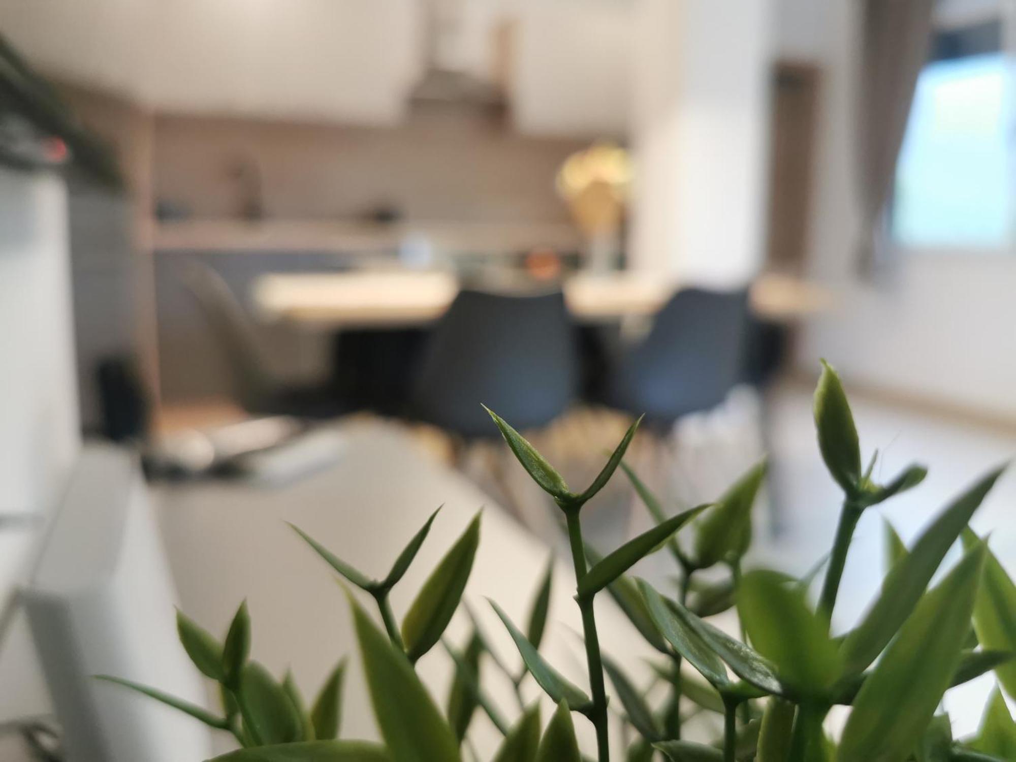 Apartma Bella Nadiza Kobarid Buitenkant foto